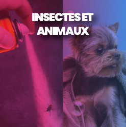 Appareillage élémentaire