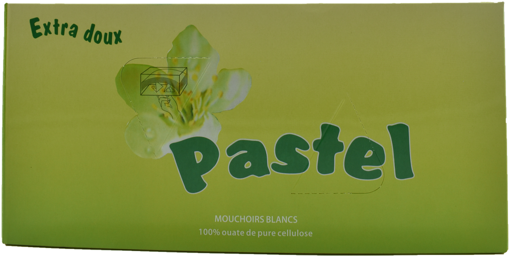 PASTEL Serviette - en papier 100 feuilles (x2 plis, en boîte)