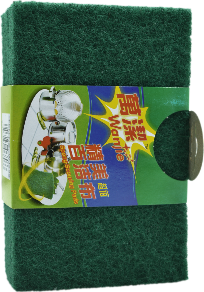 SM Tampon abrasif (x5)