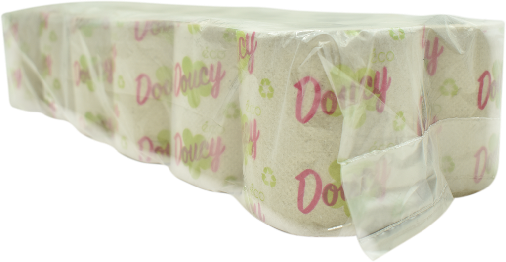 DOUCY Papier toilette - Eco (x12)