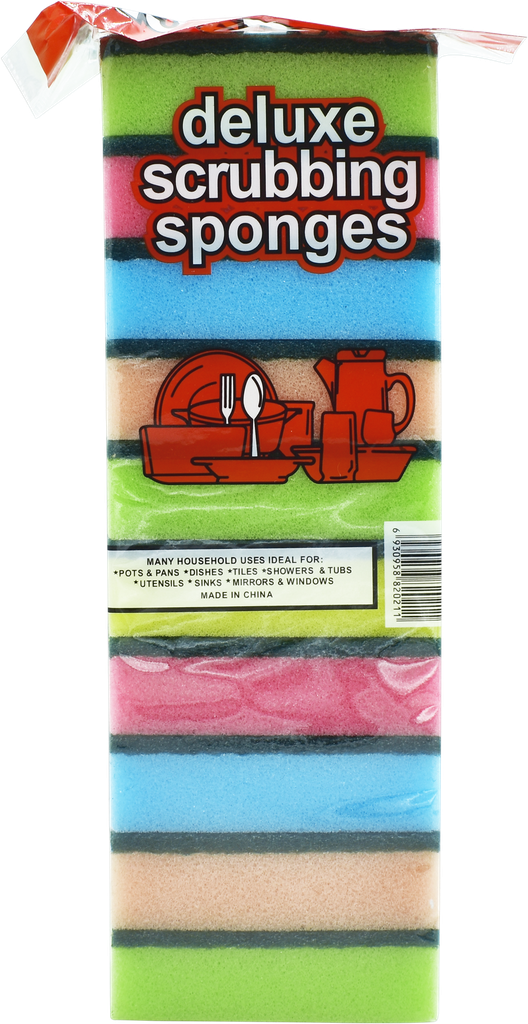 SM Eponge double face (x10)