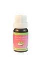 [AR008] AROMEYA Huile essentielle d'Eucalyptus globulus 10ml