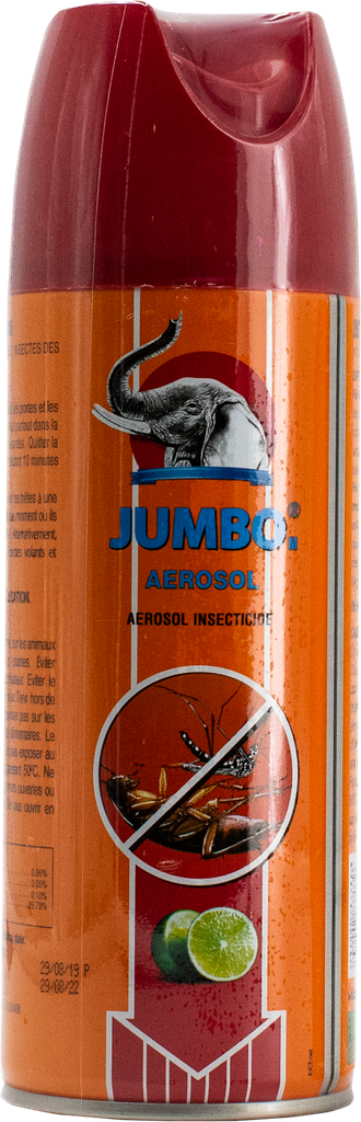 JUMBO Insecticide - PM (aérosol 300ml)