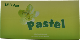 [PA604] PASTEL Serviette - en papier 100 feuilles (x2 plis, en boîte)